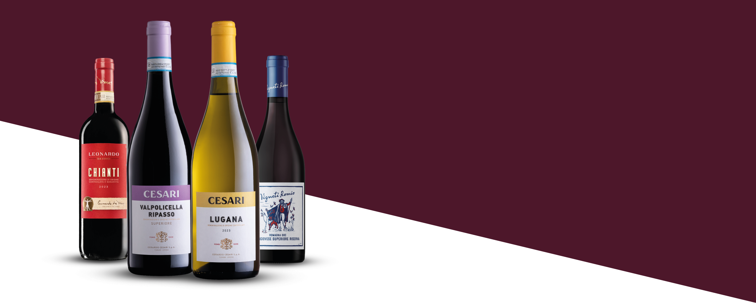 Bottiglie di Chianti cantina Leonardo Da Vinci, Valpolicella Ripasso cantina Cesari, Lugana cantina Cesari, Sangiovese Superiore Riserva cantina Vigneti Romio